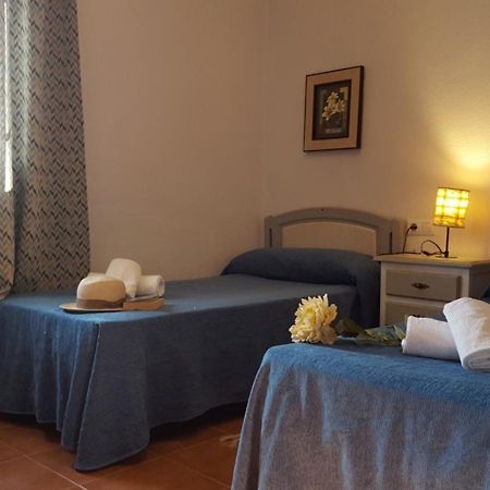 Chalet Las Adelfas Chaparrillo Conil De La Frontera Dış mekan fotoğraf